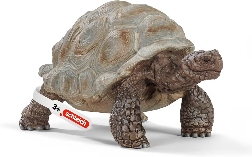 Schleich Wild Life- 7"Realistic Giant Tortoise Toy Animal Figurine - African Safari Figures for B... | Amazon (US)