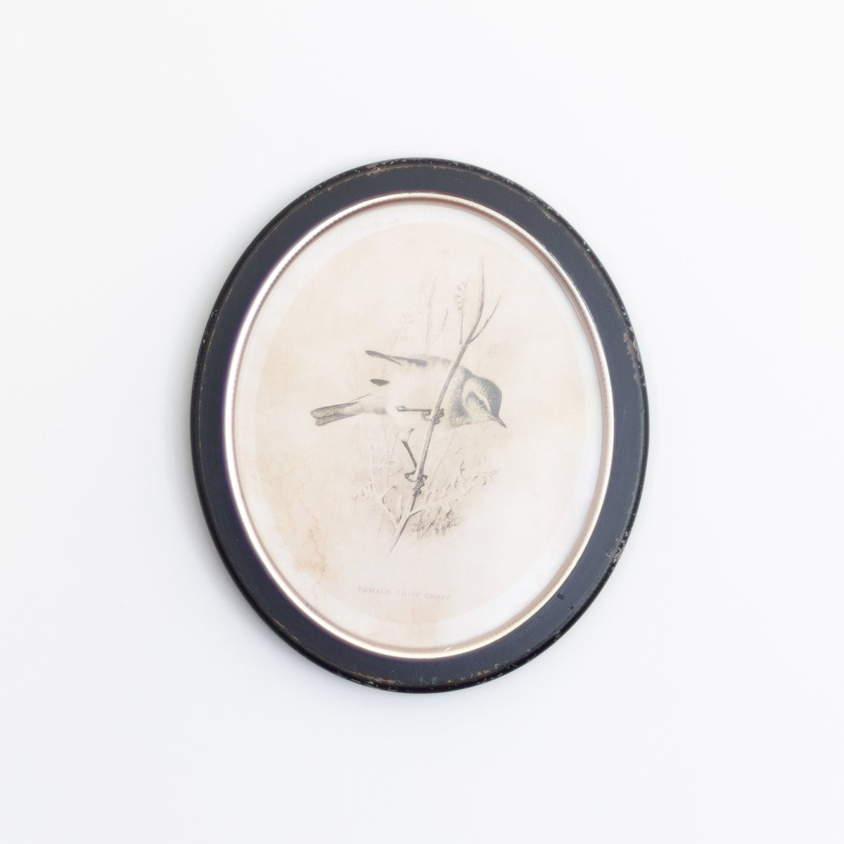 Vintage Bird Print | Stoffer Home