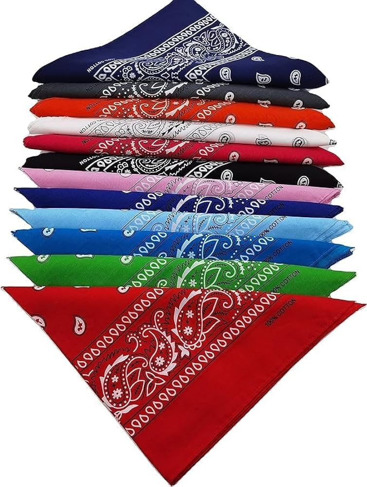 CITYMEMO 100% Cotton Paisley Printed Bandanas 12 PCS 22x22 Inches Large Thick Scarfs Fashion Head... | Amazon (US)