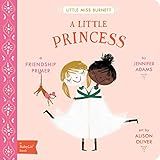 A Little Princess: A BabyLit® Friendship Primer (BabyLit Primers)     Board book – Picture Boo... | Amazon (US)