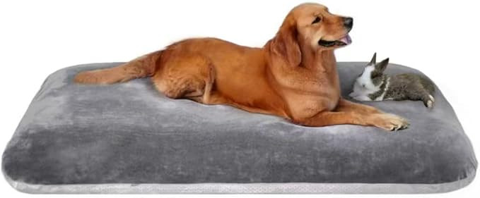 Dog Bed for 150 Pounds Dogs, Super Comfy Large Bed, 47 Inches Orthopedic Sleeping Mattress for XL... | Amazon (US)