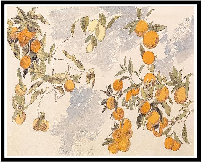 Vintage Fruit Tree Poster - Retro Oranges and Lemons Print - Watercolor Art - Great Gift for Men,... | Amazon (US)