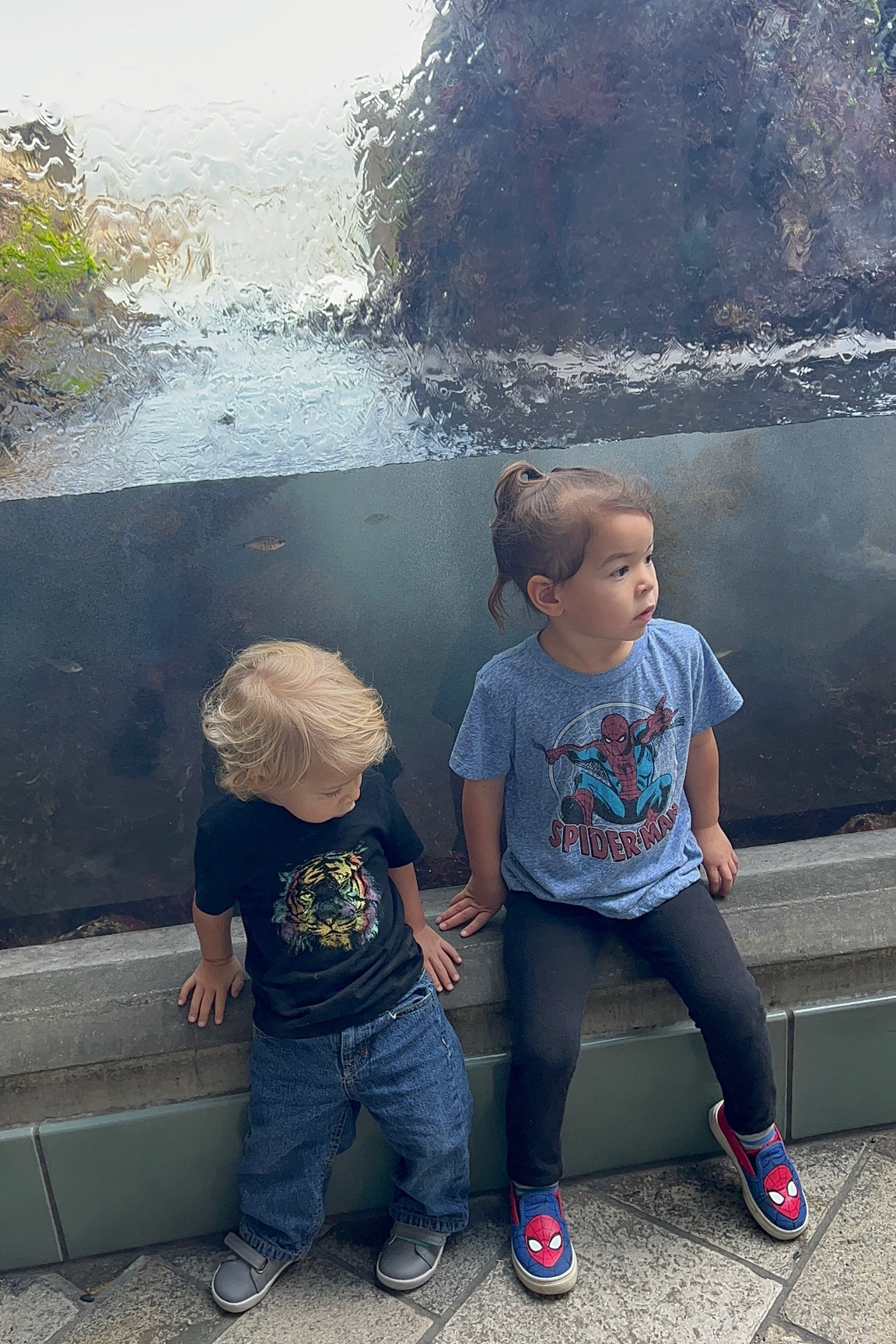 Monterey Bay Aquarium! Colins wearing his new ten little everyday shoes we just got in! I love that they’re roomy in the toe box but also really lightweight still! 