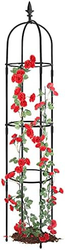 Garden Obelisk Trellis for Climbing Plants, Rustproof Plastic Coated Metal Plant Support, Garden ... | Amazon (US)