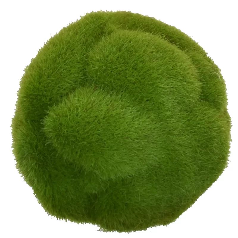 Mood Ball Faux Moss Plant | Wayfair North America