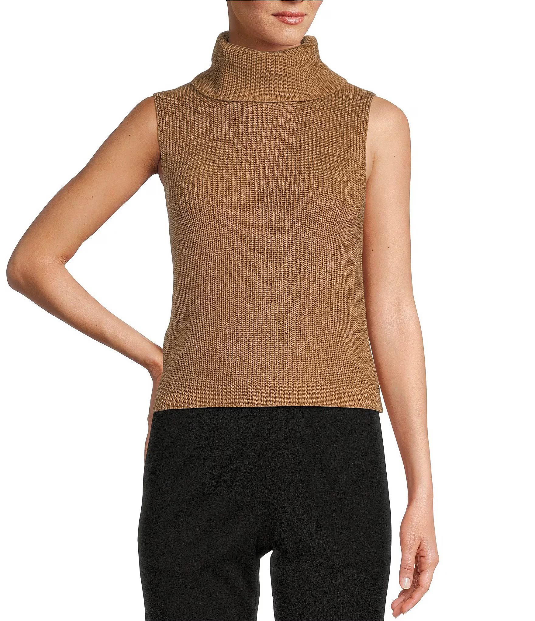 Dylon Turtleneck Sleeveless Sweater | Dillard's
