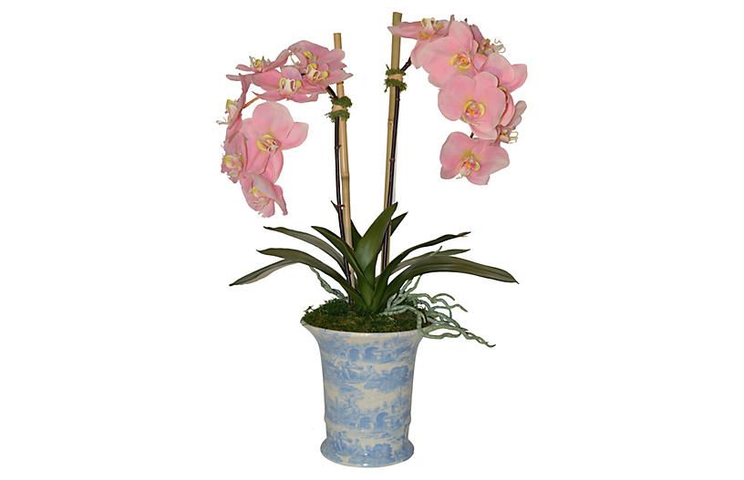 26" Phalaenopsis in Pot, Faux | One Kings Lane