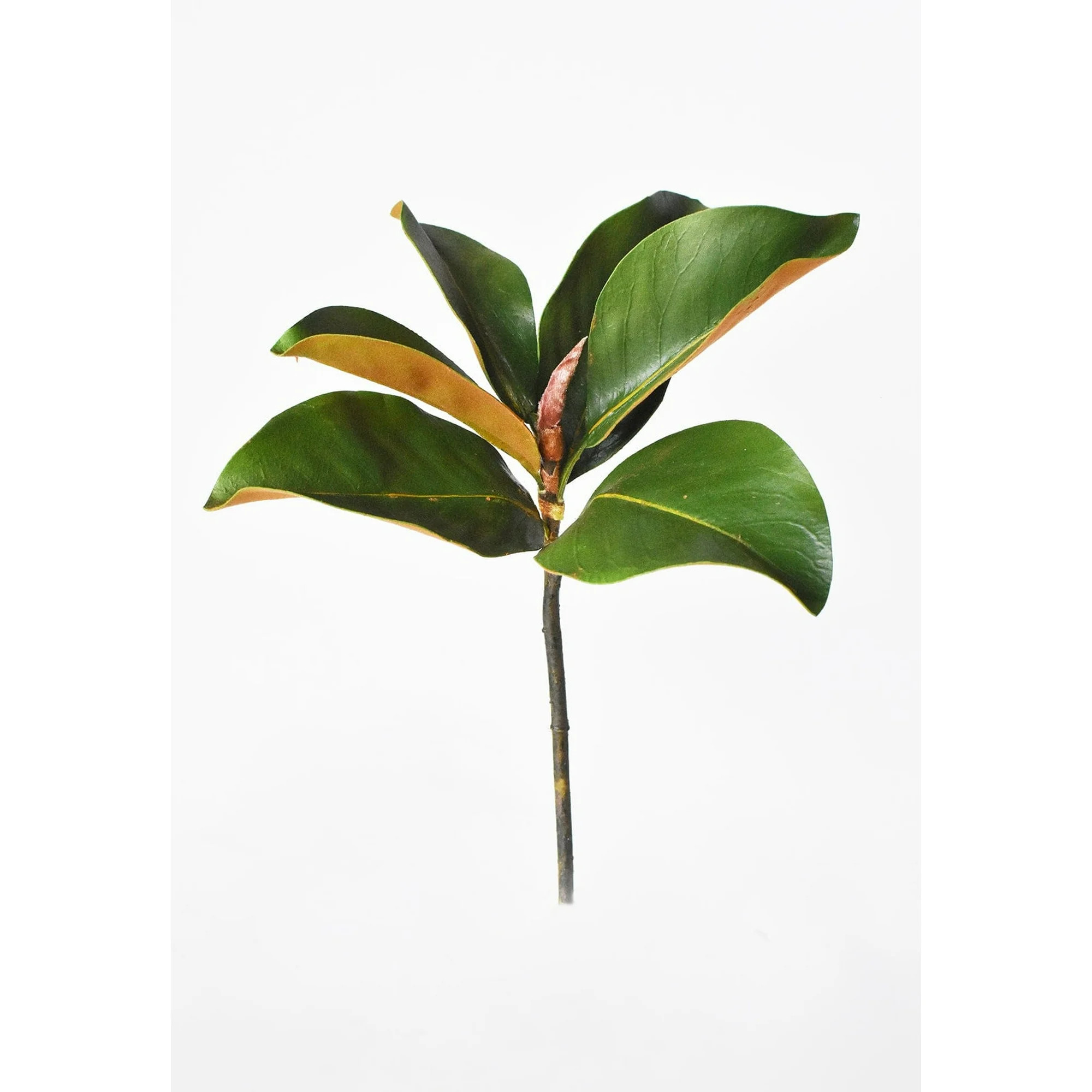 House by JSD 14" Faux Magnolia Leaf Stem Artificial Plants | Walmart (US)