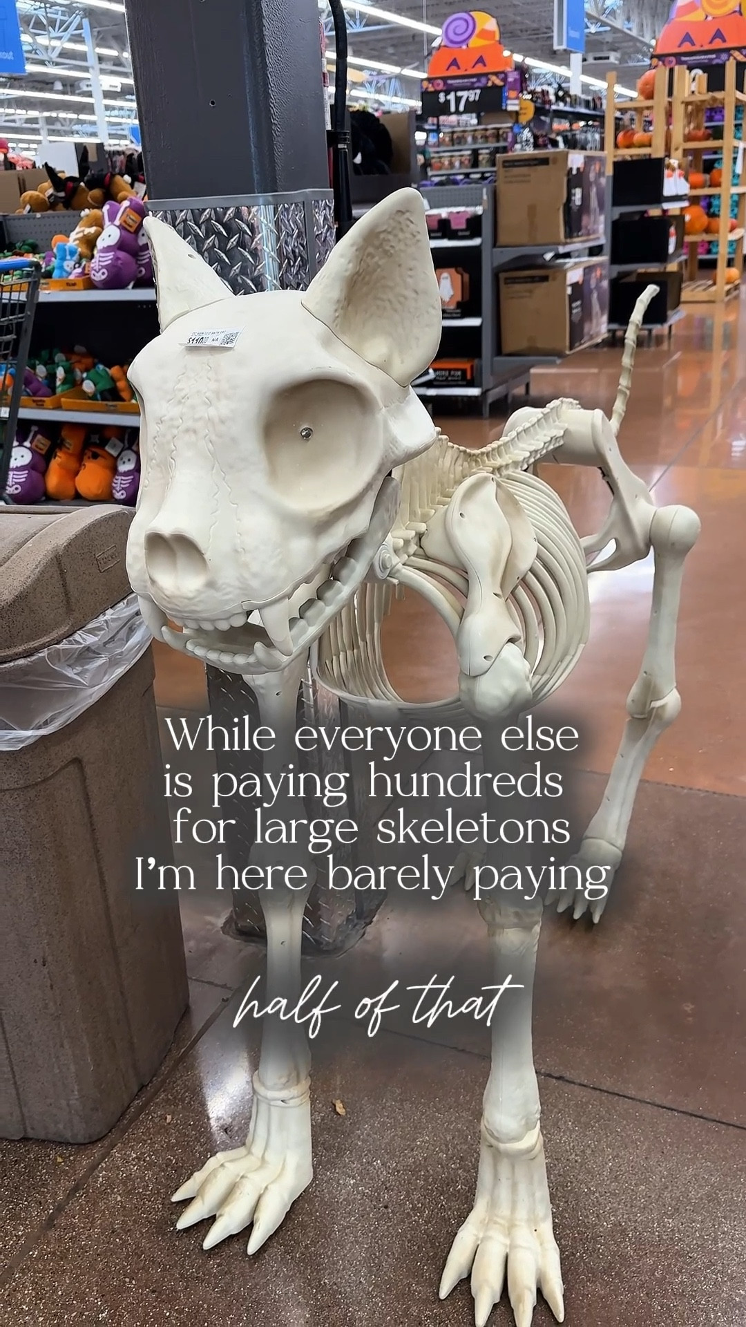 Walmart 4ft Halloween dog skeleton. Perfect outside Halloween decor! Glowing red eye add a spooky element perfect for Halloween 🎃 

#walmart #walmarthome #halloweendecor #skeletondecor #outsidehalloweendecor

Dog skeleton, Halloween decor, skeleton decoration, outside Halloween decor, big skeleton 

#LTKHome #LTKHalloween #LTKSeasonal