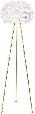 Maxax Floor Lamp – Feather Floor lamp with White Feather Shade, Tripod Standing Light with Gold... | Amazon (US)