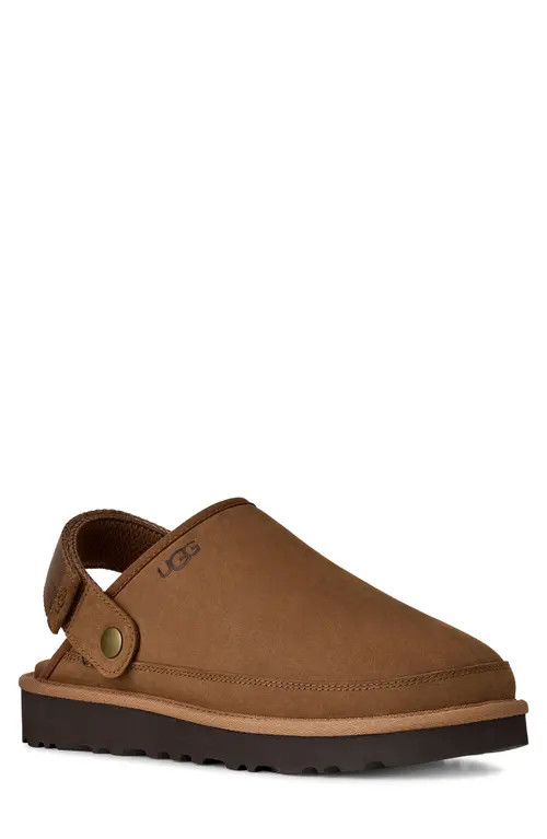 UGG(r) Goldencoast II Clog in Dark Chestnut at Nordstrom, Size 10 | Nordstrom