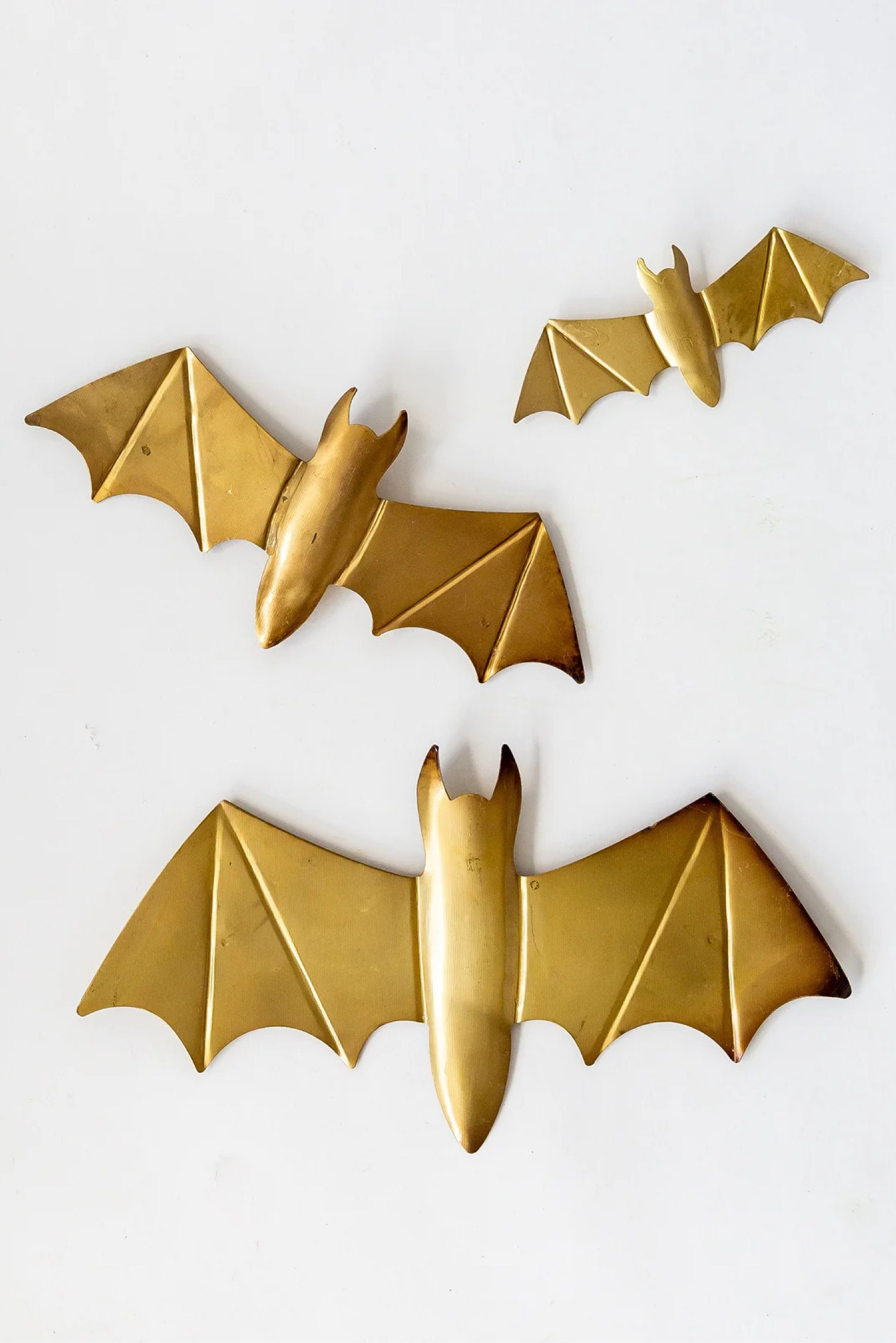 Elevated Halloween decor! 

Halloween costumes, Halloween party aesthetic, fall fun, diy Halloween decorations, Halloween crafts, vintage Halloween

Fall bucket list, fall family photos, family halloween costumes, boo basket, fall decor, fall 2024 fashion trends, school outfits, fall outfits women, fall outfits 2024, fall, fall aesthetic, fall decor ideas for the home, fall outfits, autumn aesthetic, fall wallpaper, fall nails, autumn, halloween nails, fall decor ideas for home, fall hair, autumn nails, diy halloween decorations. Modern fall decor, fall home decor, fall decor for the home, Fall Halloween decorations, Halloween aesthetic, Halloween party ideas, autumn magic, spooky, pumpkin painting ideas, rustic Halloween decor, cozy Halloween decor, witchy Halloween decorations, Halloween entry table, Halloween nail ideas, Halloween outfit ideas, Halloween costumes, dress to impress, Halloween y2k outfits, country concert outfit, Halloween dinner ideas, Halloween dinner recipes, Halloween night beauty, Halloween hair styles, Halloween outdoor ideas, Halloween home decor, Halloween living room decor, Halloween bucket list, Halloween travel

#LTKHome #LTKParties #LTKSeasonal