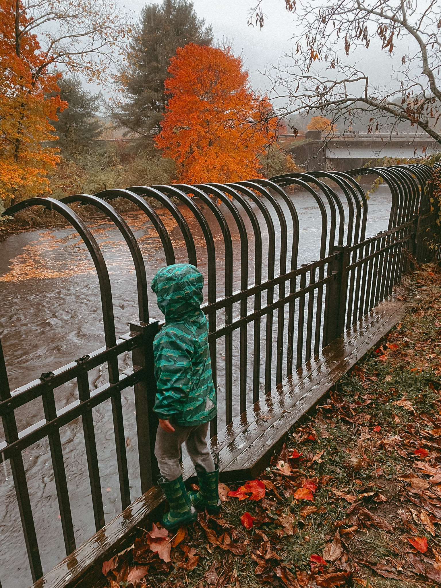 Rainy fall outfits 🍂🍁

#LTKkids #LTKGiftGuide #LTKSeasonal