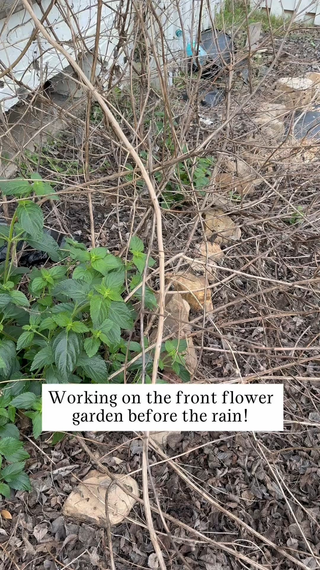 These weeding tools were a lifesaver!!! Our front flower garden is coming back to life! 

#LTKHome