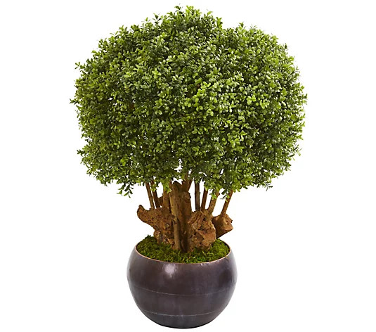 38" Boxwood Topiary in Decorative Bowl by Nearly Natural | QVC