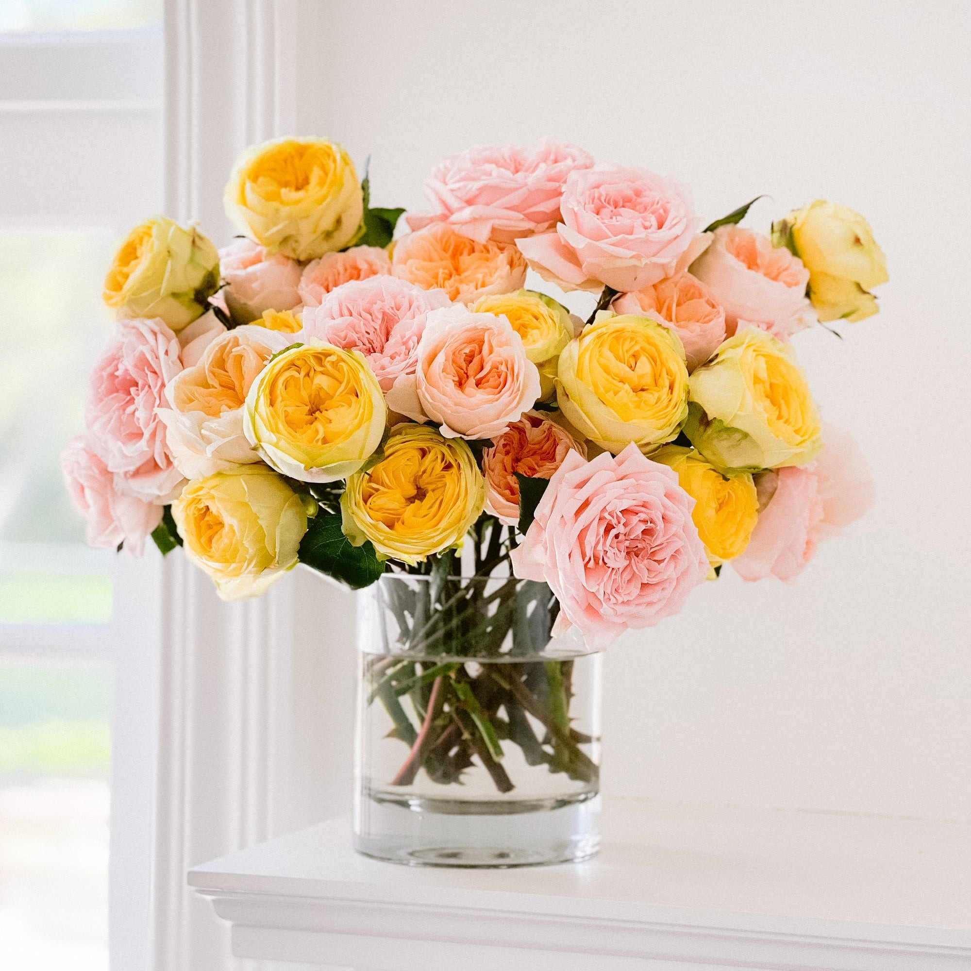 Ellie | Grace Rose Farm