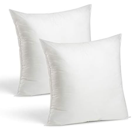 24x24 Euro Throw Pillow Inserts-Down Feather Pillow Inserts-Cotton Fabric-Set of 2-White | Amazon (US)