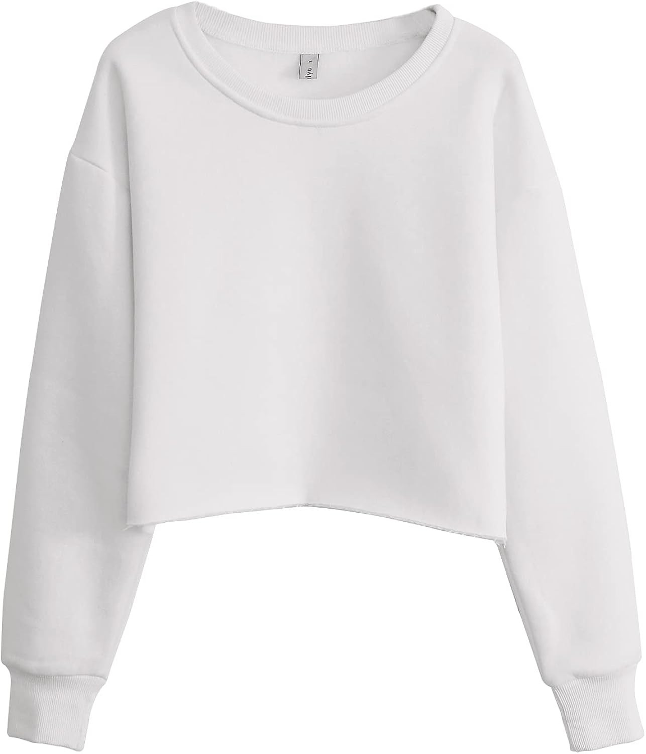 Amazhiyu Women’s Pullover Cropped Hoodie Casual Fleece Crop Top for Fall Winter | Amazon (US)