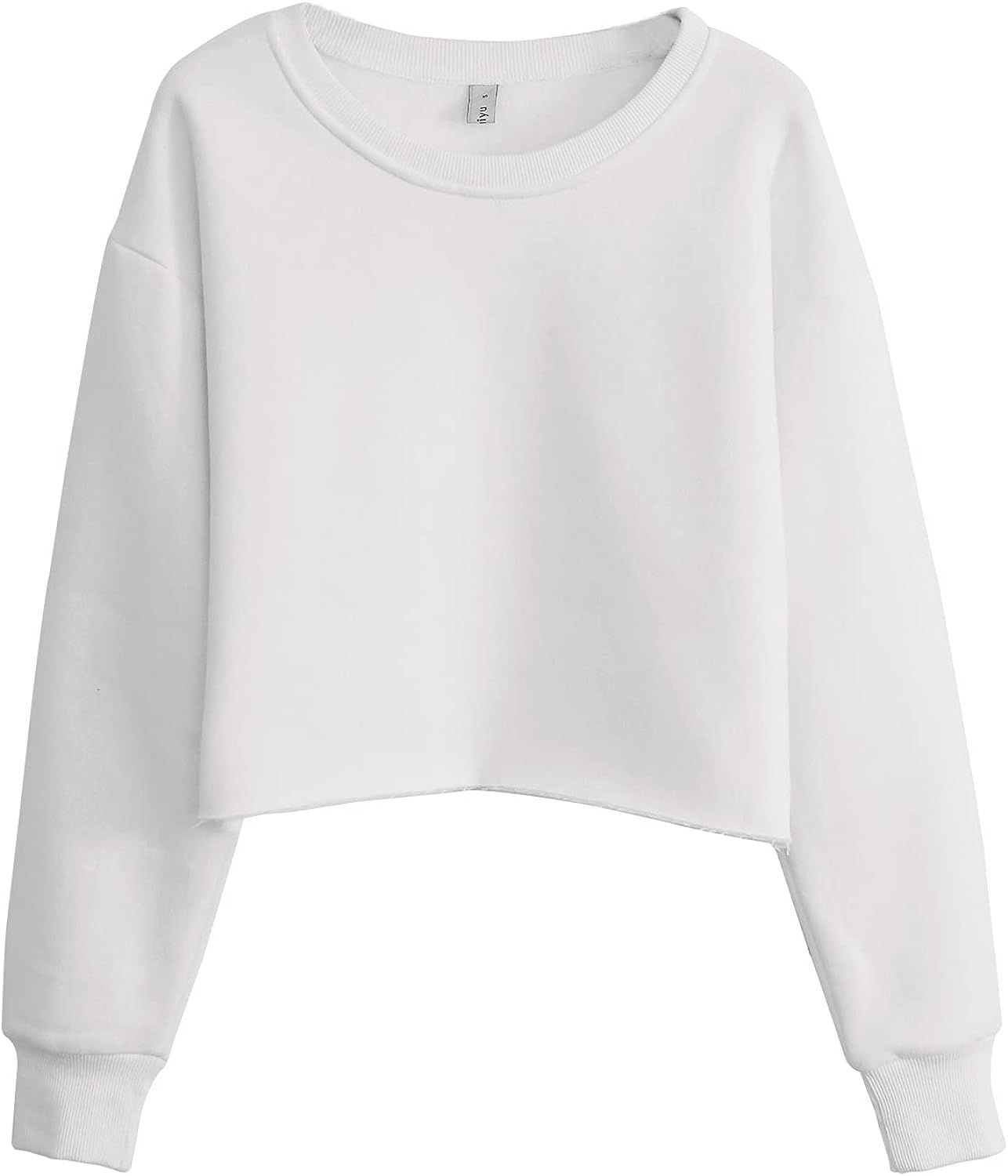 Amazhiyu Women’s Pullover Cropped Hoodie Casual Fleece Crop Top for Fall Winter | Amazon (US)