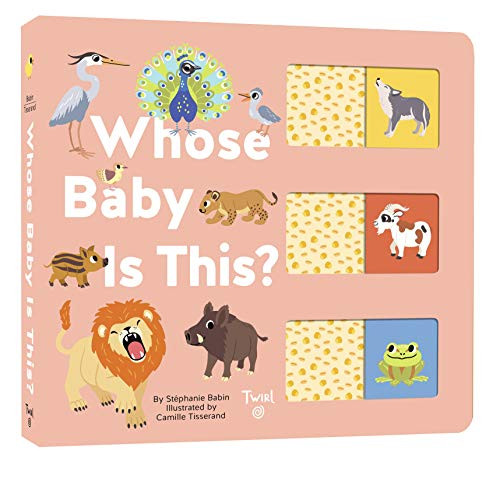 Whose Baby is This?    Board book – February 2, 2021 | Amazon (US)