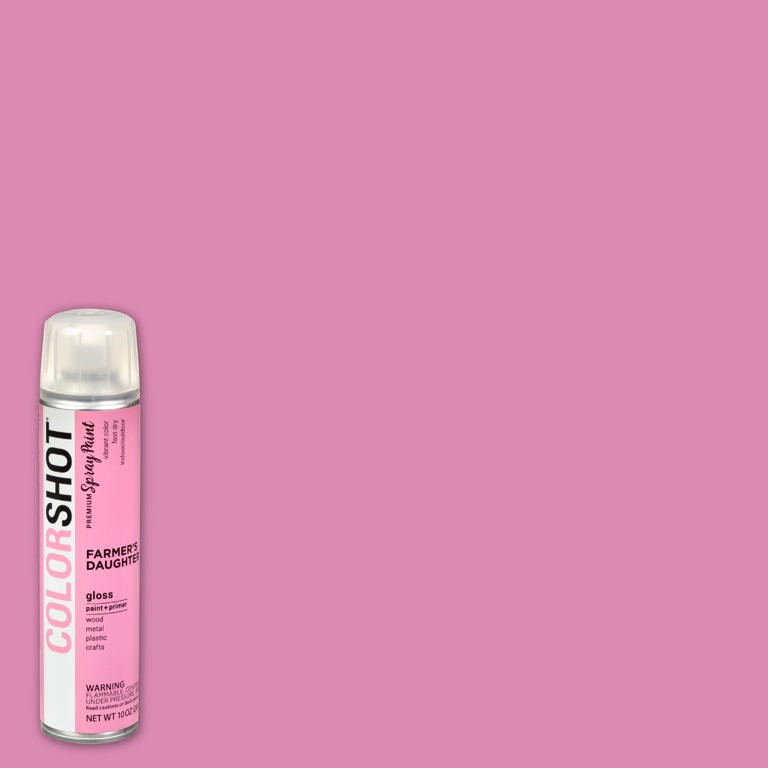 COLORSHOT Premium Gloss Farmers Daughter Spray Paint - 10 oz. - Pink | Walmart (US)