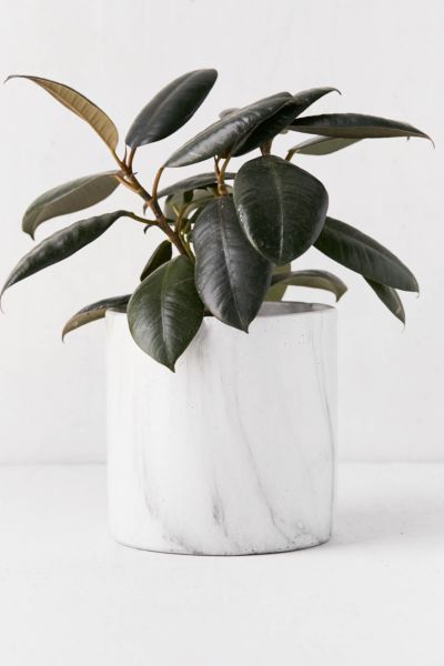Marble 6" Planter - Grey at Urban Outfitters | Urban Outfitters (US and RoW)