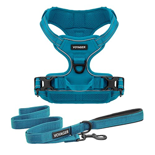 Voyager Dog Harness Dual Leash Attachment No-Pull Control Adjustable Soft but Strong Pet Harness for Medium and Large Dogs with 3M Reflective Technology - Harness Leash Set (Turquoise), L | Amazon (US)