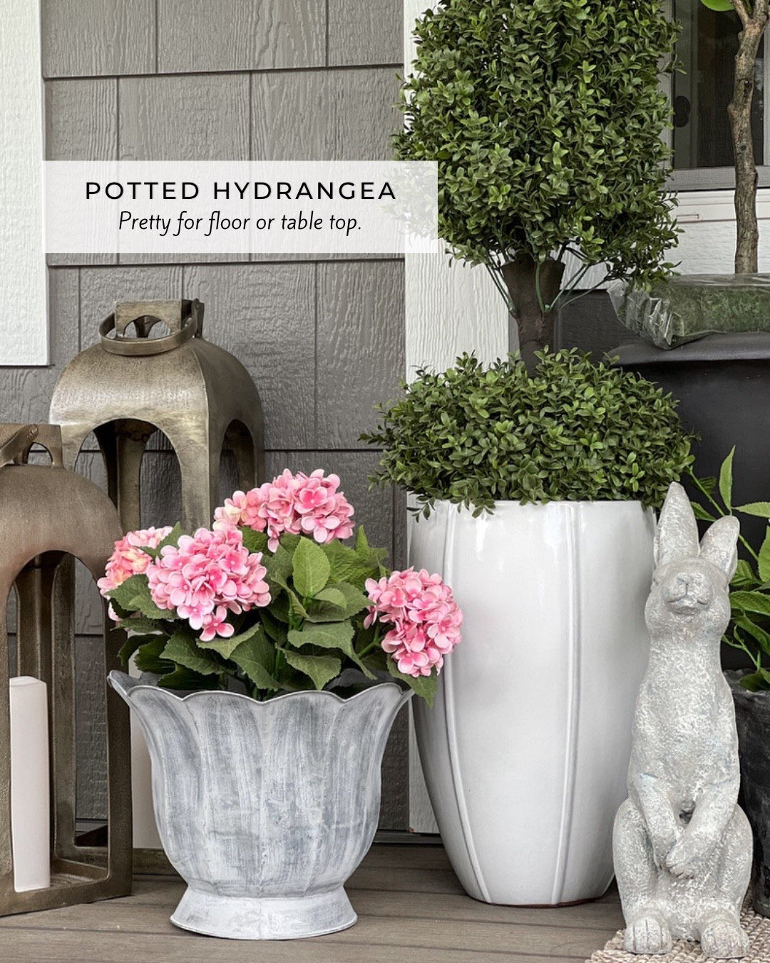 Hydrangeas are one of my favorite porch plants. This one is perfect for floor or table top. Additional colors available.

#founditonamazon

#LTKHome #LTKSeasonal