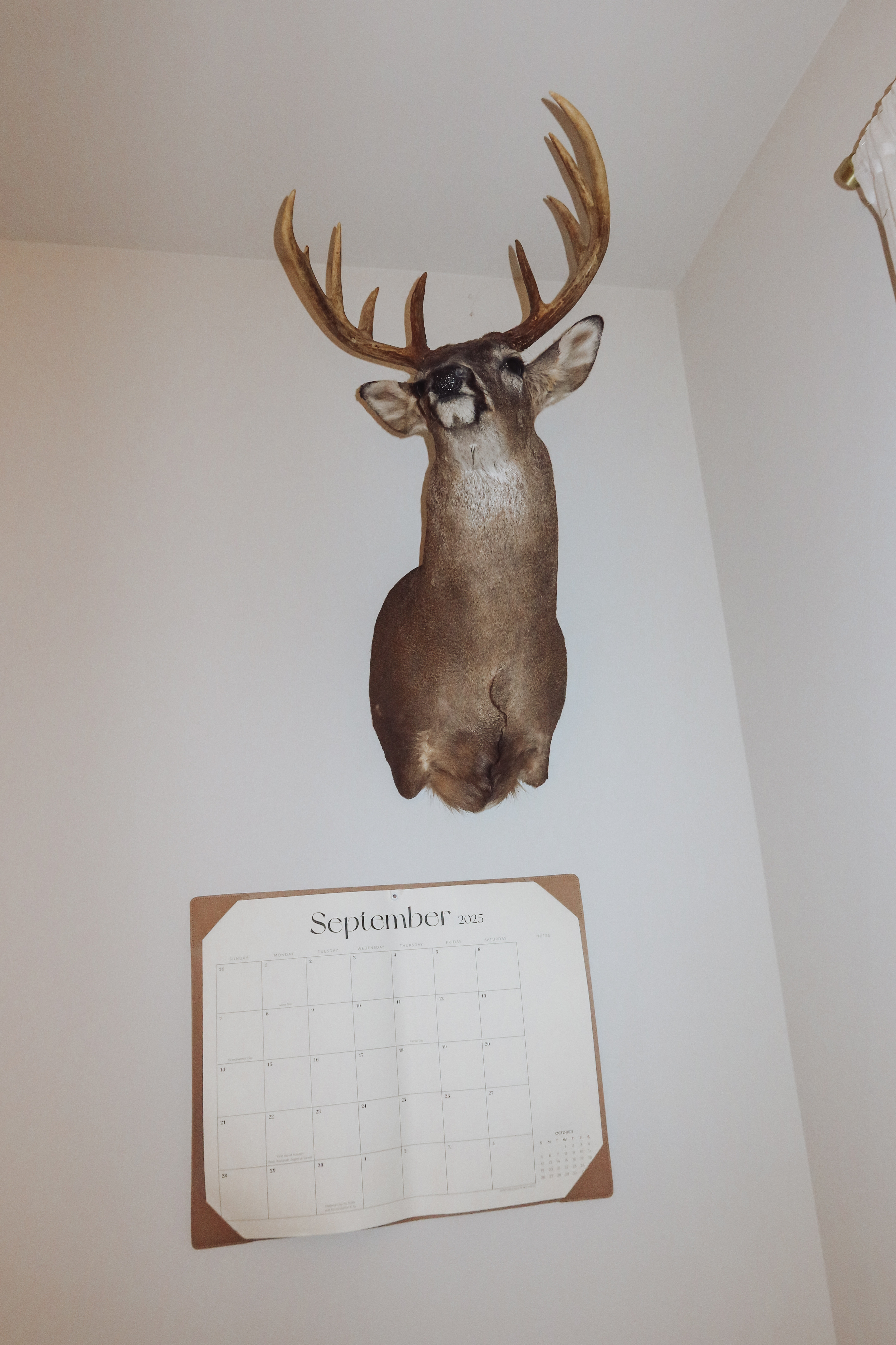 Stay organized in style 🗓✨ This Amazon calendar is perfect for keeping track of all your plans while adding a little charm to your desk or wall! 

 #LTKHome #LTKStyleTip