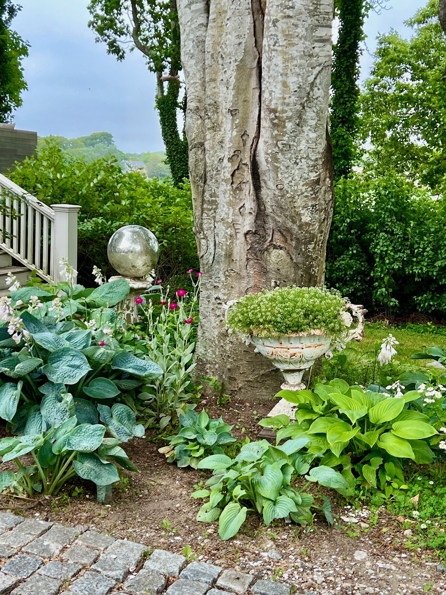 Gazing balls can add dimension and a reflective twinkle to your garden. They have a long history and make for such a special touch. Incorporate one into your own outdoor space with one of these finds… 

#LTKHome #LTKFindsUnder100