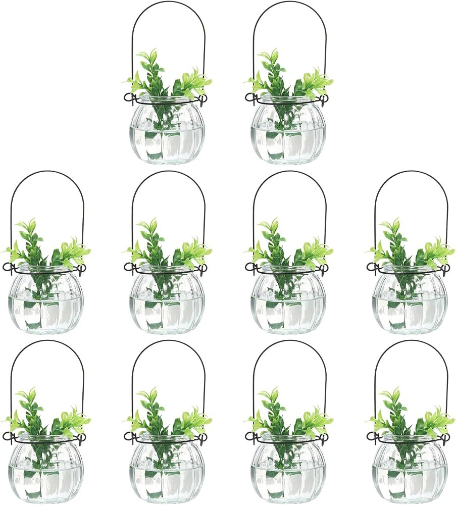 $21.79 per count($21.79$21.79 / count) | Amazon (US)