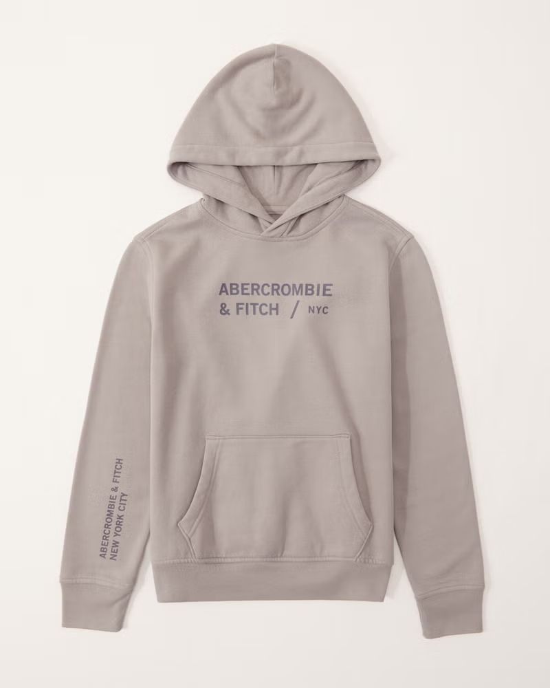 boys graphic logo hoodie | boys | Abercrombie.com | Abercrombie & Fitch (US)