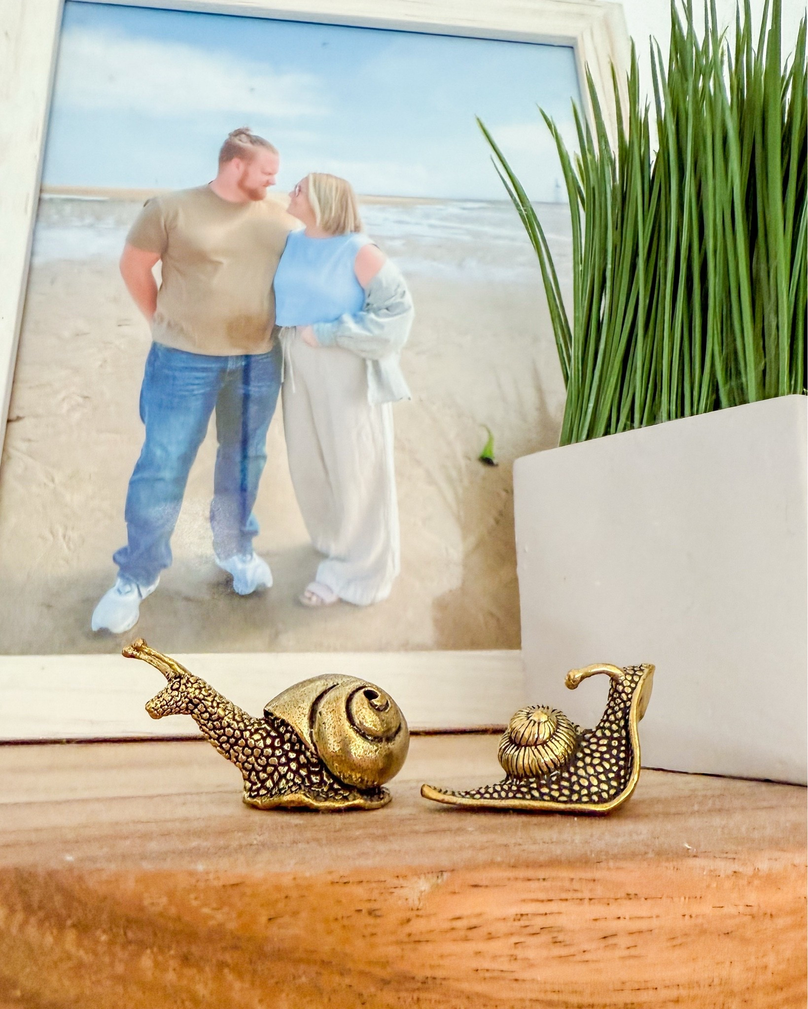 The cutest little decorative brass snails 

#LTKHome #LTKSeasonal