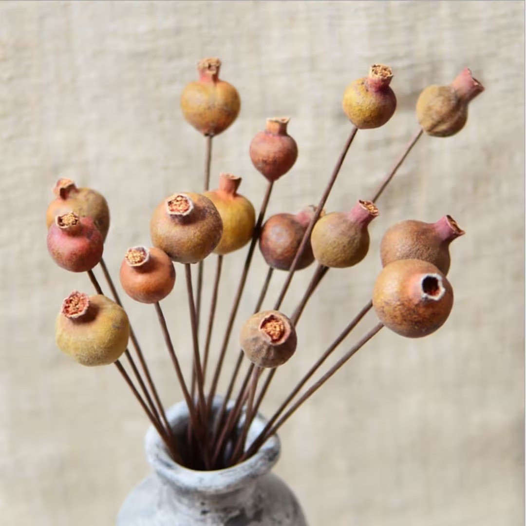 These naturally dried pomegranate branches add rich texture and an earthy, organic feel to any arrangement. Each real fruit is preserved in its natural form and finished with a bendable wire stem, making it easy to style in vases, wreaths, or DIY floral designs. With subtle variations in size and shape, every branch feels authentic and one of a kind—perfect for warm, nature-inspired décor.

#LTKhome #LTKdecor #EtsyFinds #DriedPomegranate #NaturalDecor #VaseFiller #DIYFlorals #WreathMaking #FloralStyling #OrganicHome

#LTKWedding #LTKSeasonal #LTKHome