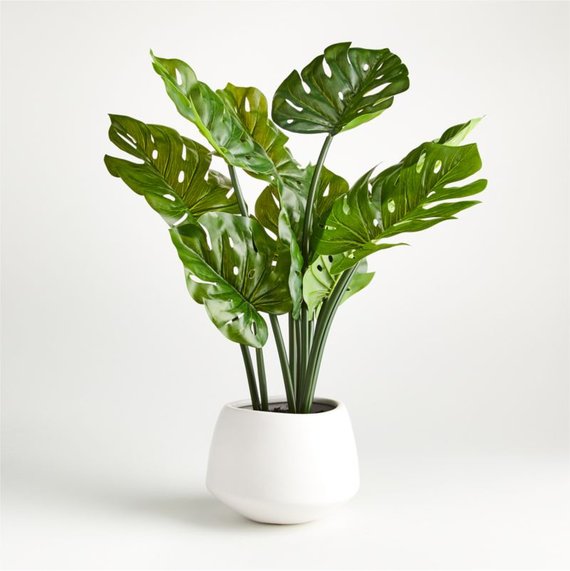 Artificial/Faux Potted Monstera + Reviews | Crate and Barrel | Crate & Barrel