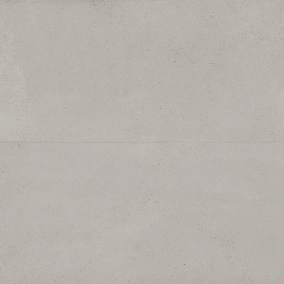 Thaddeus 24" x 48" Matte Porcelain Wall & Floor Tile (Set of 2) | Wayfair North America