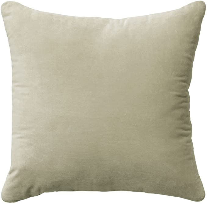 Nate Home by Nate Berkus Decorative Cotton Velvet Throw Pillow - Soft Luxurious Modern Decor, Cus... | Amazon (US)