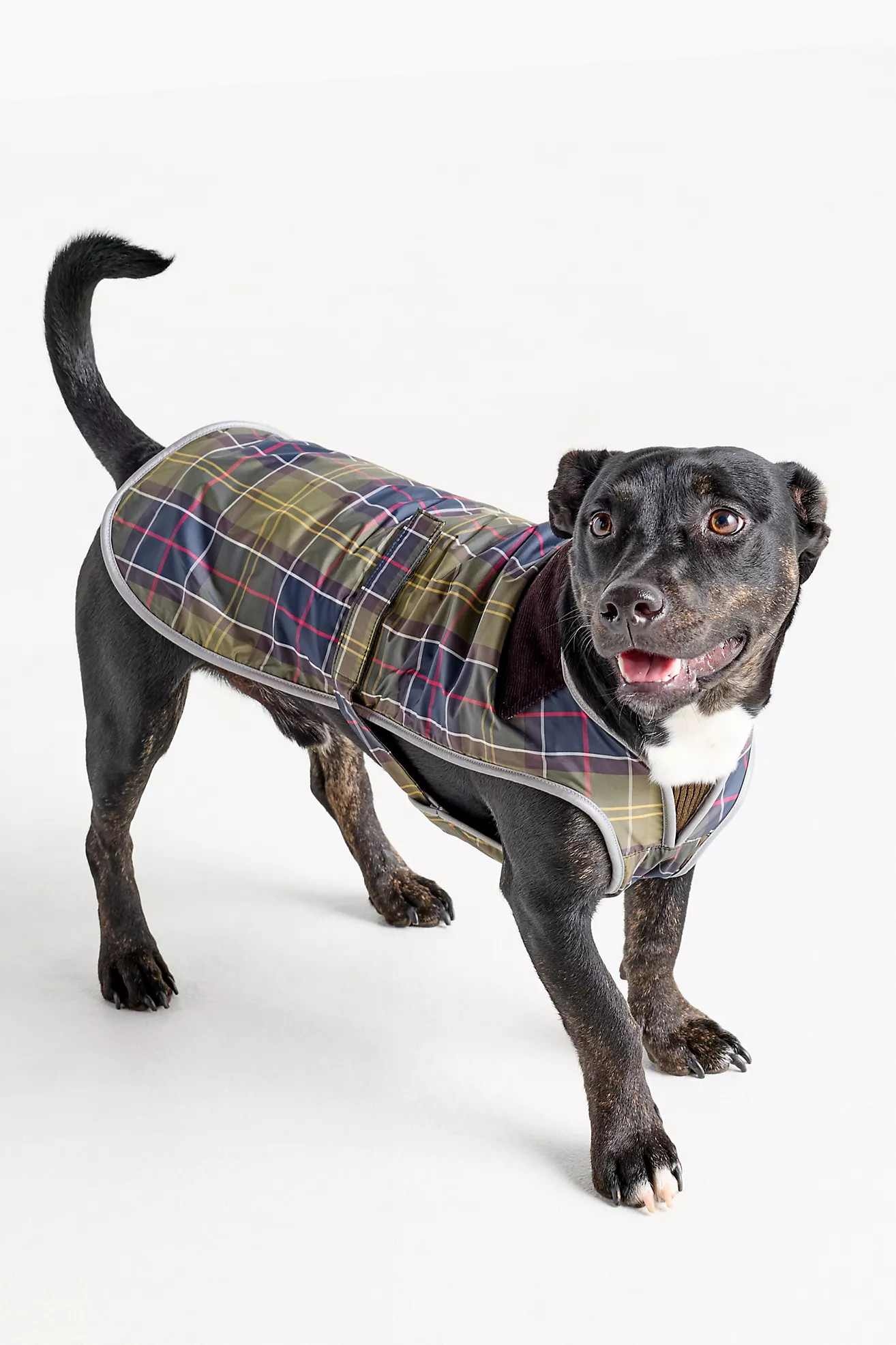 Barbour Tartan Dog Coat | Anthropologie (US)