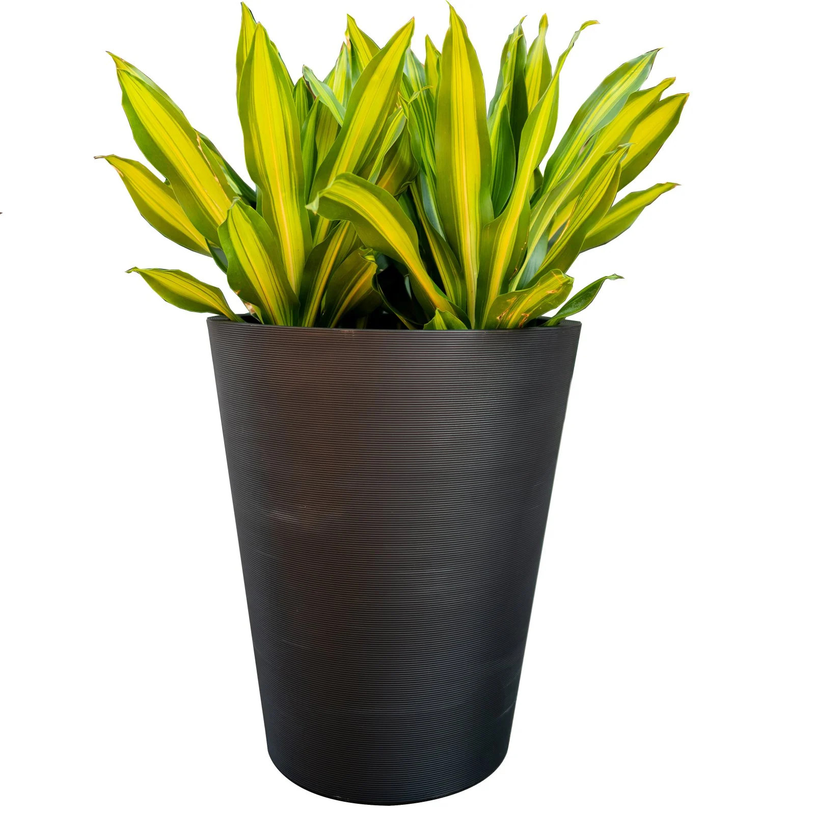 Veradek Pro Series Curve 30 in. Grooved Outdoor Round Planter | Walmart (US)