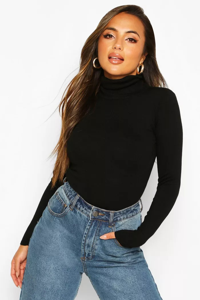 Petite Fine Knit Roll Neck Jumper | Boohoo.com (UK & IE)