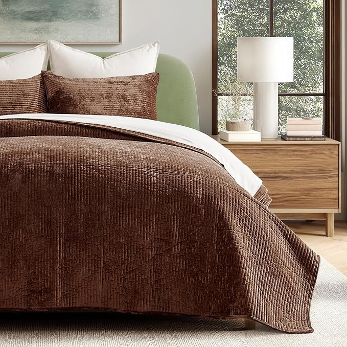 EVERGRACE Velvet Quilt Set Queen Size, Luxurious Soft Quilted Bedding Sets, Lightweight Velvet Co... | Amazon (US)