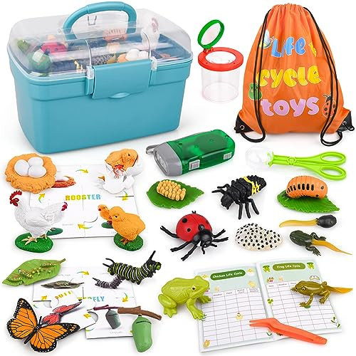 Life Cycle Learning & Education Toys, Montessori Toys Animal Toy Figurines for Frog, Butterfly, Chicken, Ladybug - Educational & Fun Matching Game Preschool Learning Toys Outdoor Explorer Kit | Amazon (US)