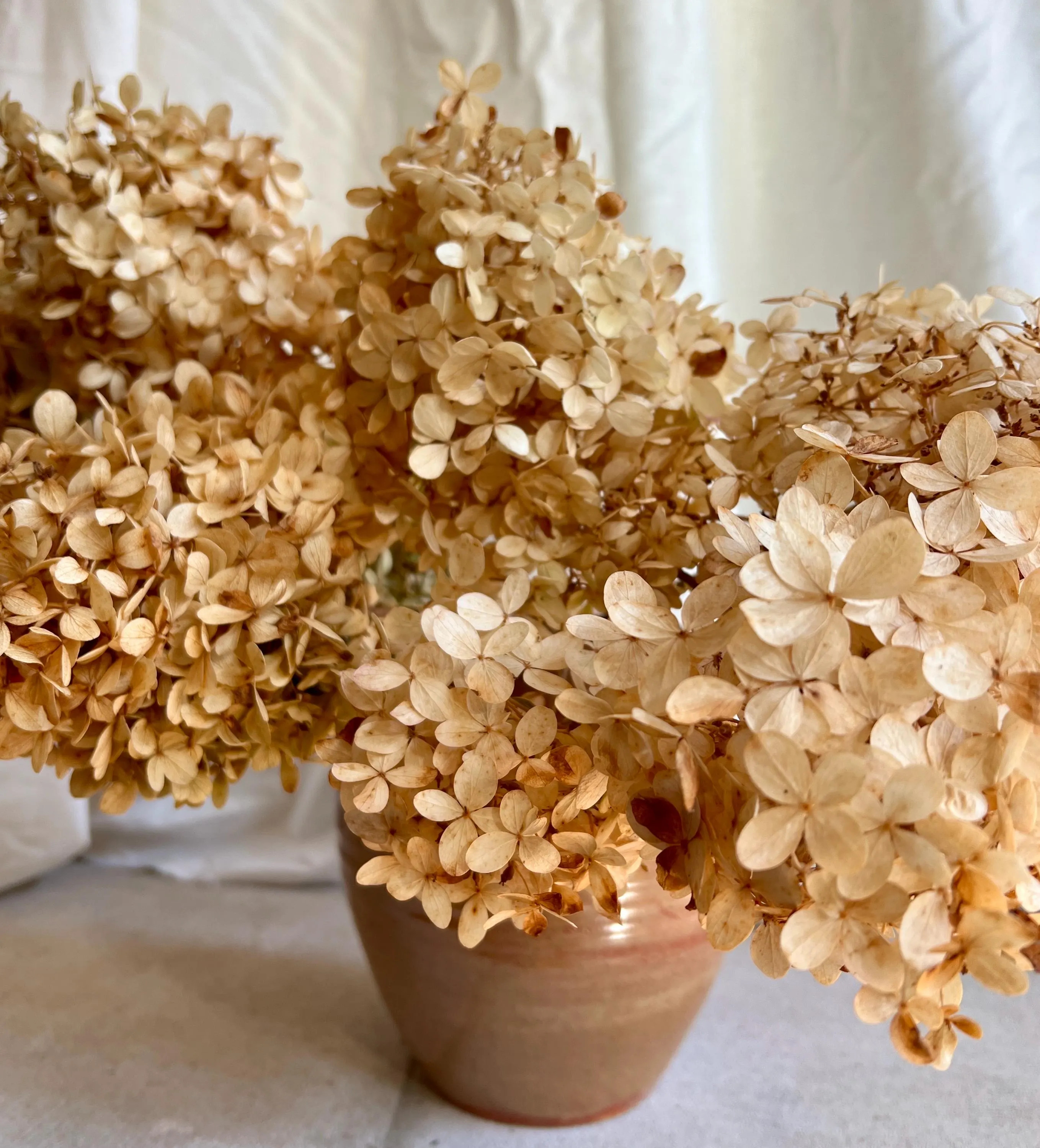 Golden Hydrangea Bunches | Etsy (Global)