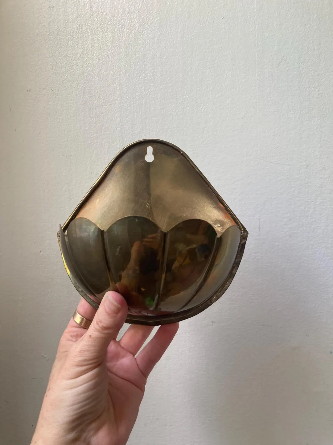Scalloped Brass Wall Planter - Etsy | Etsy (Global)