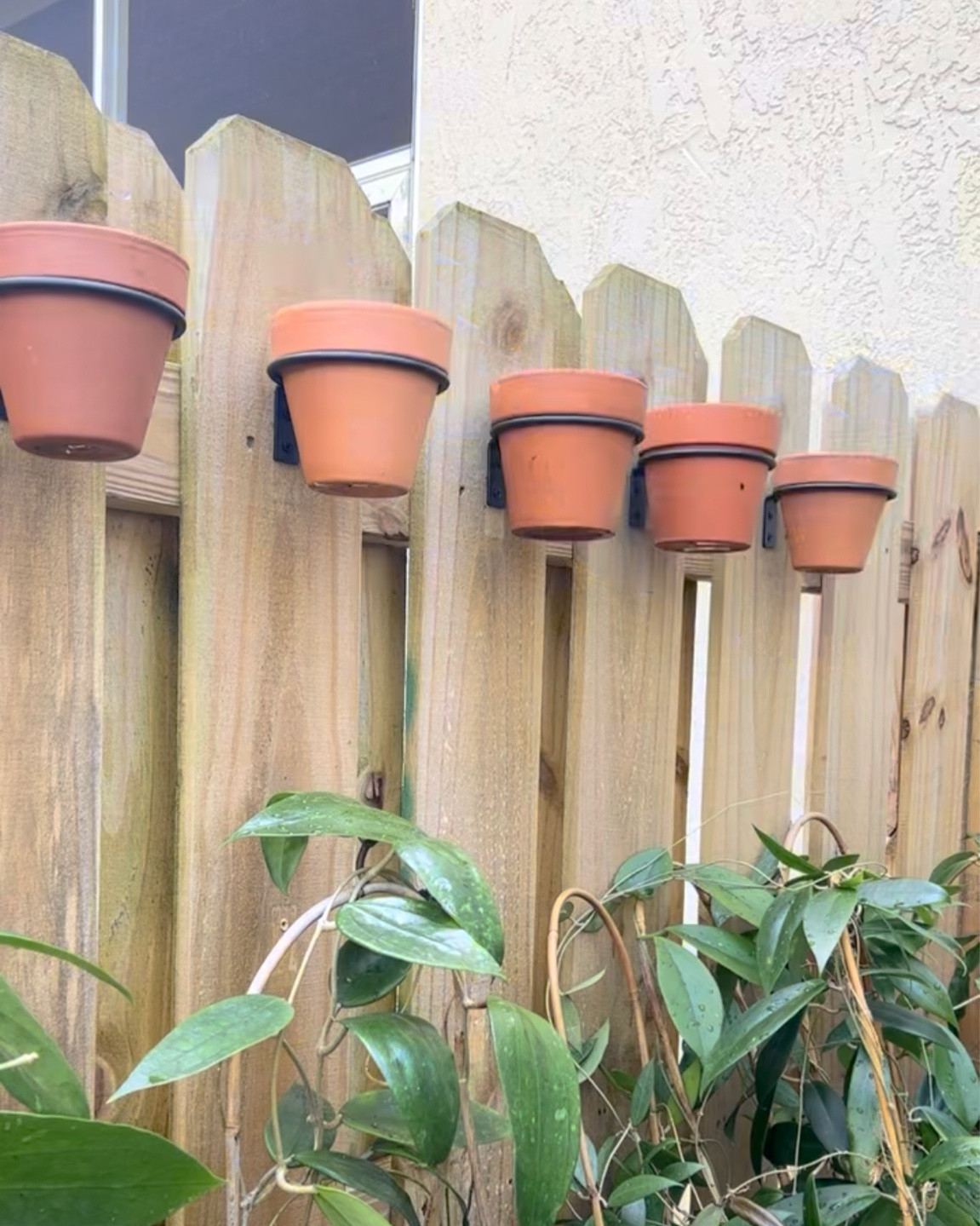 Plant parent hack! Utilize vertical space by adding planters and hooks to your wall or fence. 