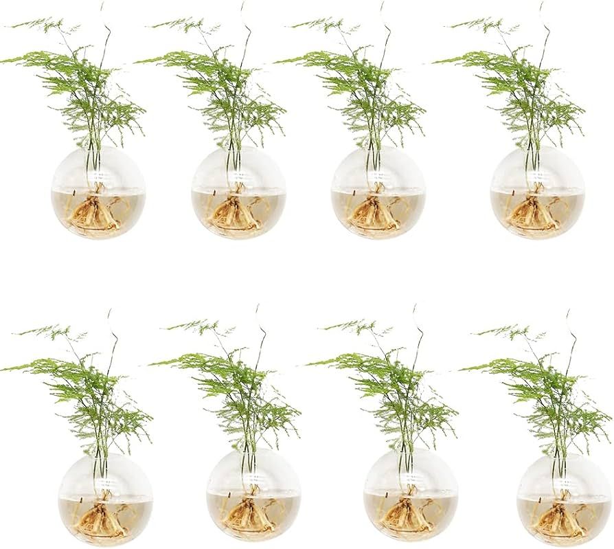 8 Pack Wall Hanging Planters Hanging Glass Terrariums Wall Glass Vases | Amazon (US)