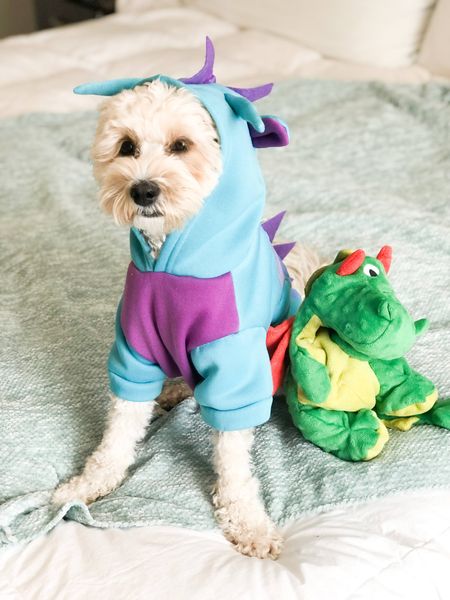 Cute dinosaur Halloween costumes for your dog on Chewy! 🦕 

#LTKsalealert #LTKHalloween #LTKSeasonal