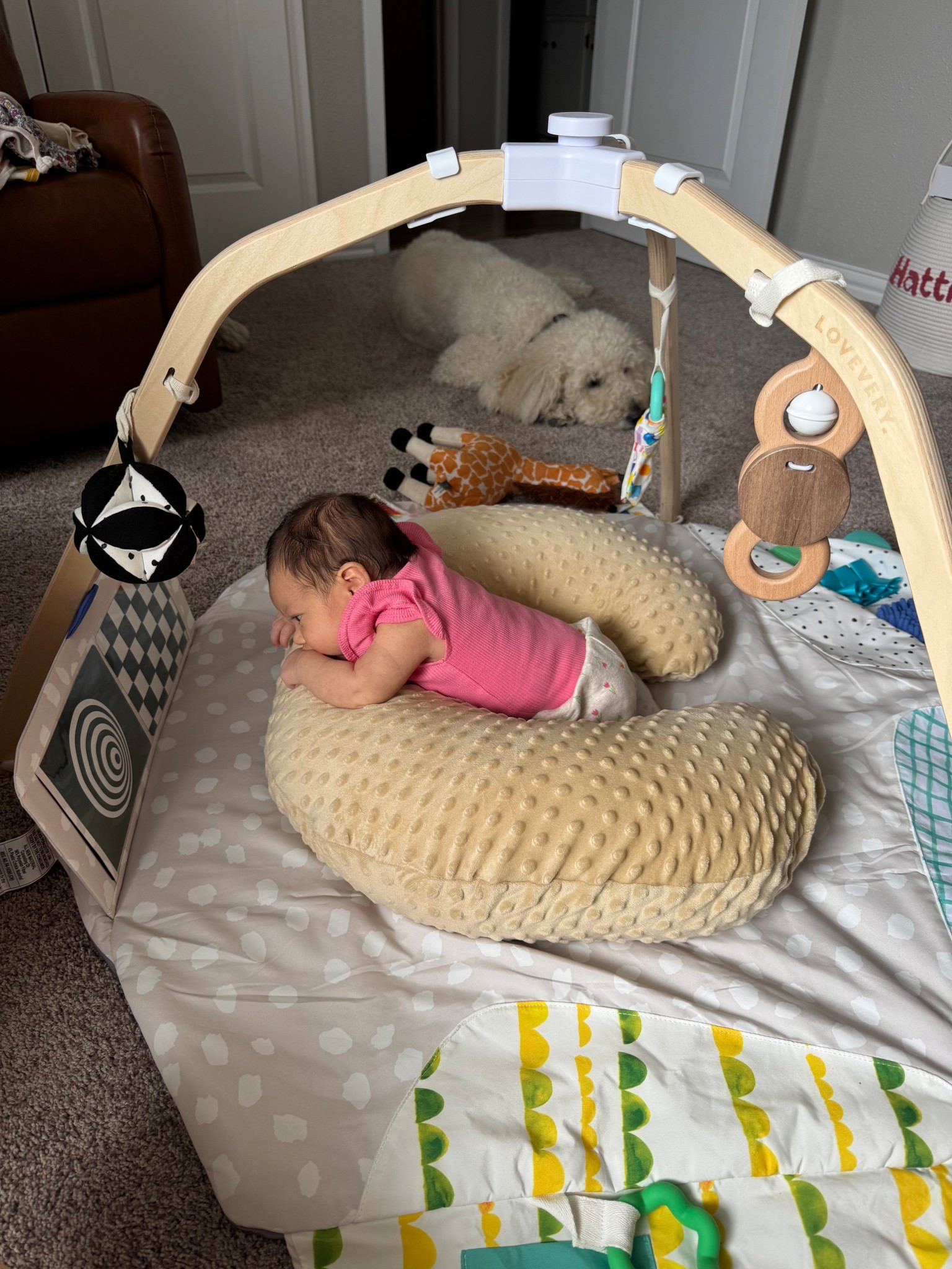 Tummy Time fun 

Love this play gym and of course the boppy pillow to work on that head support! 

#LTKActive #LTKKids #LTKBaby