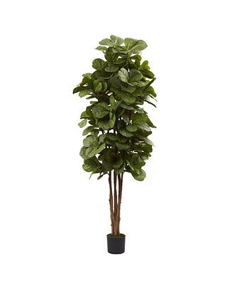 6' Fiddle Leaf Fig Tree | Macys (US)