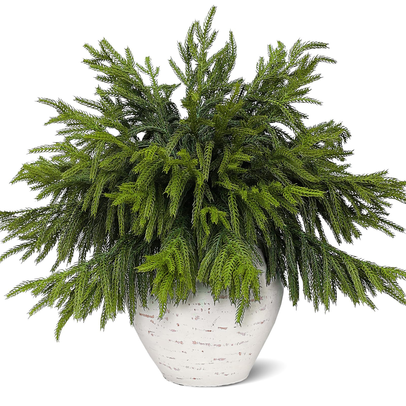 20 Pcs Real Touch Norfolk Pine Branches, Artificial Christmas Green Plants Branch Faux Greenery S... | Amazon (US)